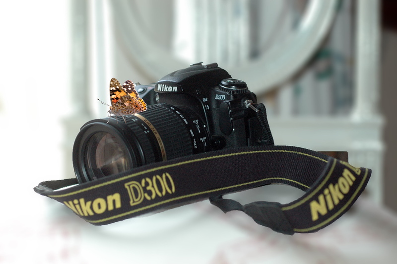 equipment, text, focus on foreground, macro, butterfly, 2K, camera - photographic equipment, security, nikon, animal, d300, modern, personal accessory
