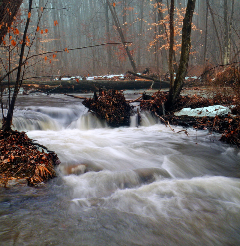 river, trees, flowing Water, Surge, landscape, fog, creek, Run, Pennsylvania, snow, outdoors, Northampton County, hiking, Lehigh Valley, Jacobsburg Environmental Education Center