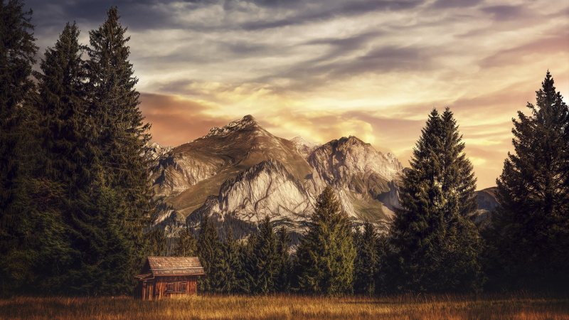 shanty, forest, mountain, 4K, pines