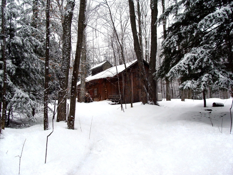 no people, woods, forest, non-urban scene, built structure, sugar, tranquil scene, white color, building exterior, day, maple syrup, 1080P, land, beauty in nature