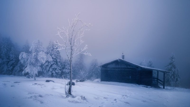 winter, covering, snow, frost, no people, light, log cabin, tranquility, cottage, blizzard, shanty, tranquil scene, beauty in nature, extreme weather, bare tree
