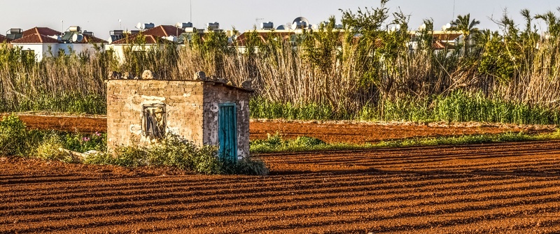 kapparis, countryside, built structure, building exterior, sunlight, hut, land, plant, 4K, agriculture, outdoors, building, day, cyprus, rural scene, tree