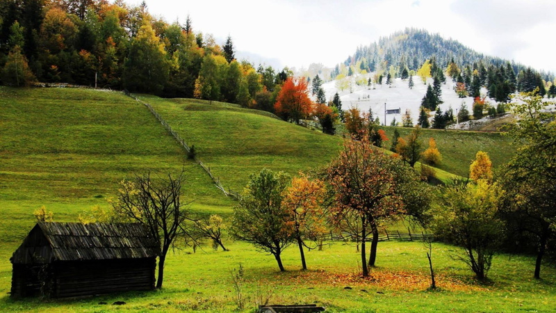 hills, tranquility, field, cottage, nature, day, shanty, autumn, plant, fall, growth, idyllic, land, non-urban scene, sky, landscape, tree, change, tranquil scene