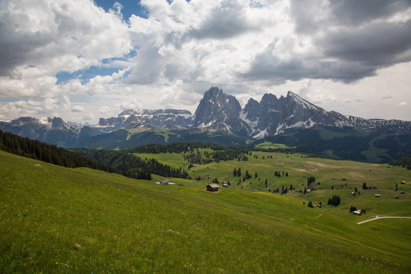 field, nature, european Alps, mountain, landscape, environment, mountain range, plant, snowcapped mountain, south tyrol, grass, scenics - nature, green Color