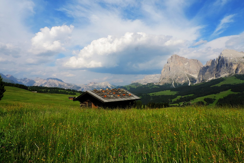 mountain range, alpine, green color, plant, outdoors, field, 4K, building, tranquility, mountain, grass, mountain peak, nature, italy, cloud - sky, south tyrol