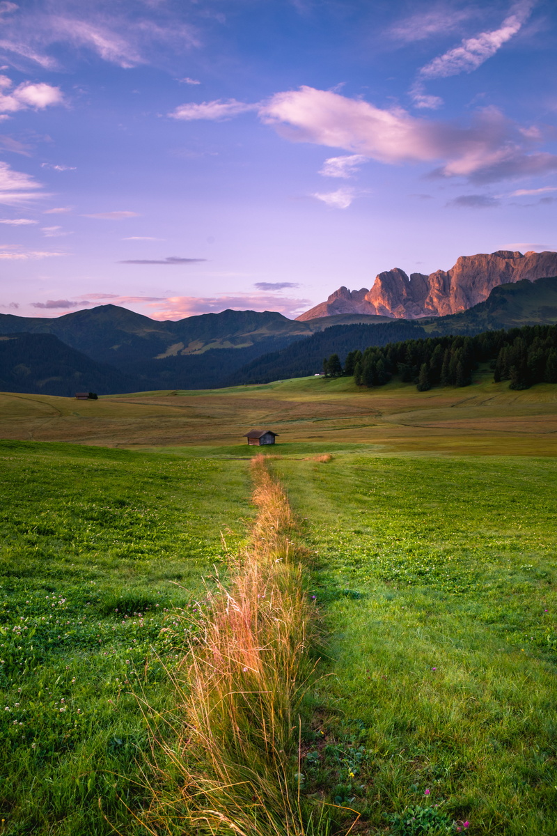 beauty in nature, growth, pentax, alps, scenics - nature, rock, kastelruth, forest, landscape, plant, remote, glowing, mountain, idyllic, non-urban scene