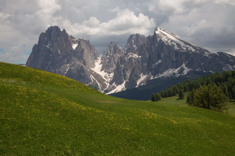 plant, nature, no people, environment, landscape, seiser alm, grass, panorama, land, scenics - nature, mountain, outdoors, cloud - sky, snow, mountains