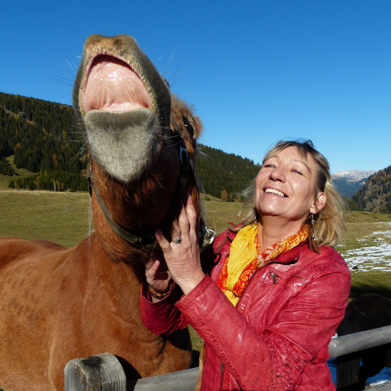 livestock, vertebrate, emotion, joy, sky, mane, fur, horse, happiness, pets, Parallels, Haflinger, leisure activity, cheerful, real people, herbivorous