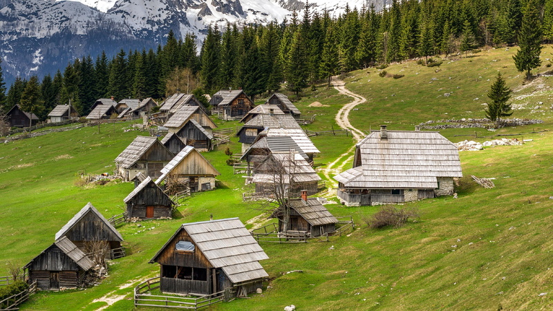 pokljuka plateau, 4K, no people, nature, julian alps, high angle view, green color, beauty in nature, day, national park, wood - material, tree, building