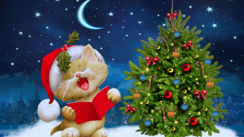 arbol, 1080P, gato, noe, navidad, papa