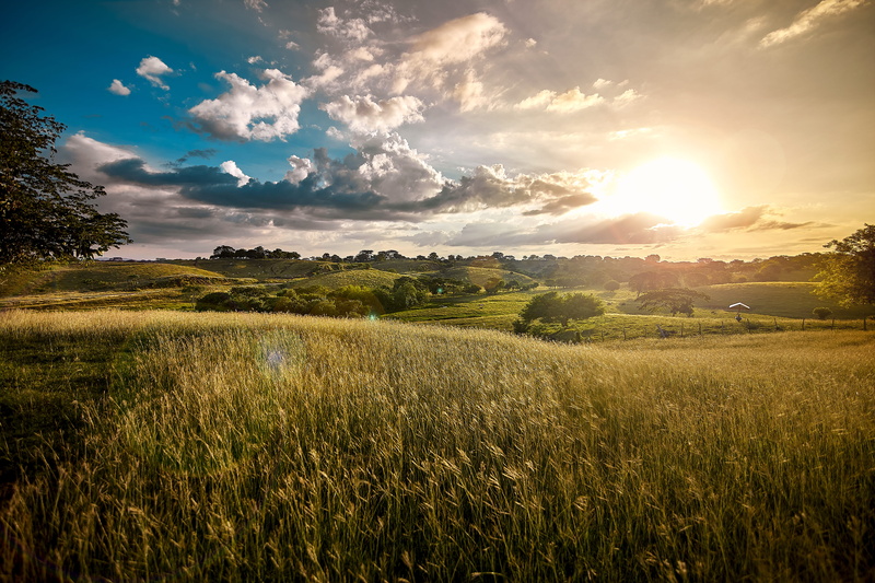idyllic, grass, san pelayo, crop, sunlight, canon, land, nature, clouds, rural scene, sunset, colombia, green color, scenics - nature, lens flare, sky