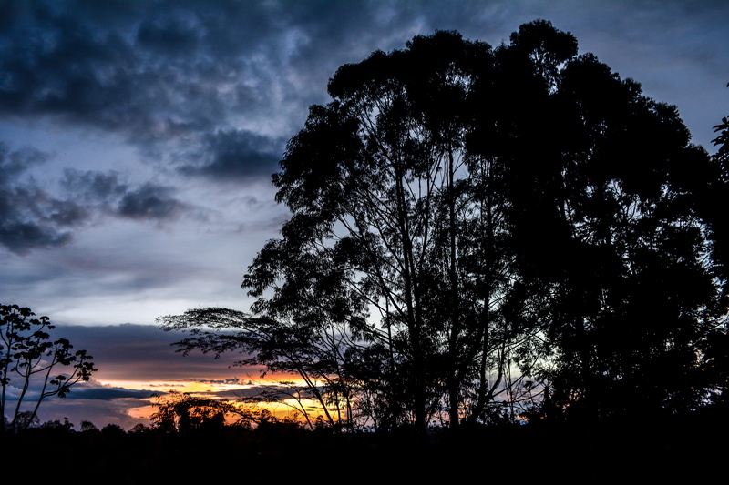 beauty in nature, land, idyllic, colombia, environment, scenics - nature, tranquil scene, 5K, clouds, growth, trees, nature, dusk, plant, cloud - sky