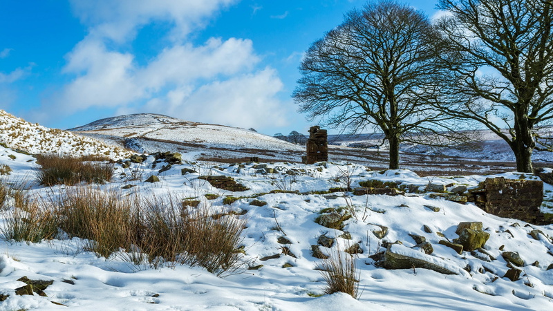 naturaleza, invierno, nieve, 2K