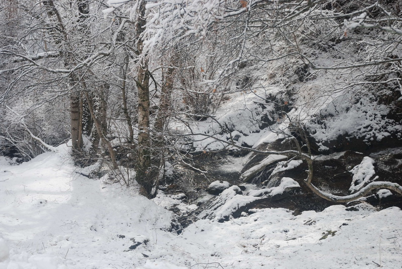 nature, rio en invierno, scenics - nature, snowcapped mountain, snowing, tree, snow, invierno, outdoors, paisatge nevat, winter, tranquility, forest, extreme weather