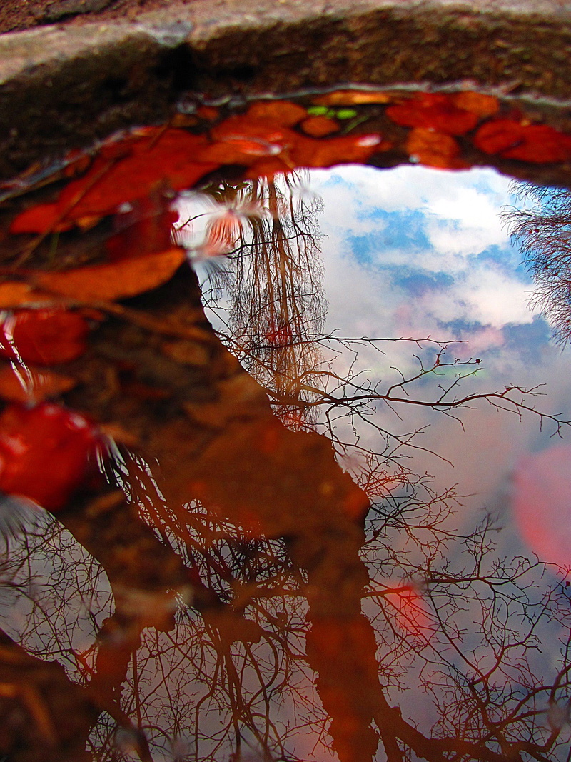 sky, day, red, san alfonso, outdoors, andes, agua, low angle view, winter, tree, nature, no people, beauty in nature, tranquility, 2K, branch, invierno