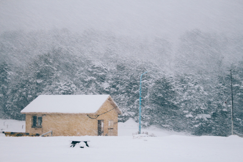 white color, invierno, covering, nature, frio, argentina, outdoors, beauty in nature, snow, storm, blizzard, house, architecture, scenics - nature, 5K