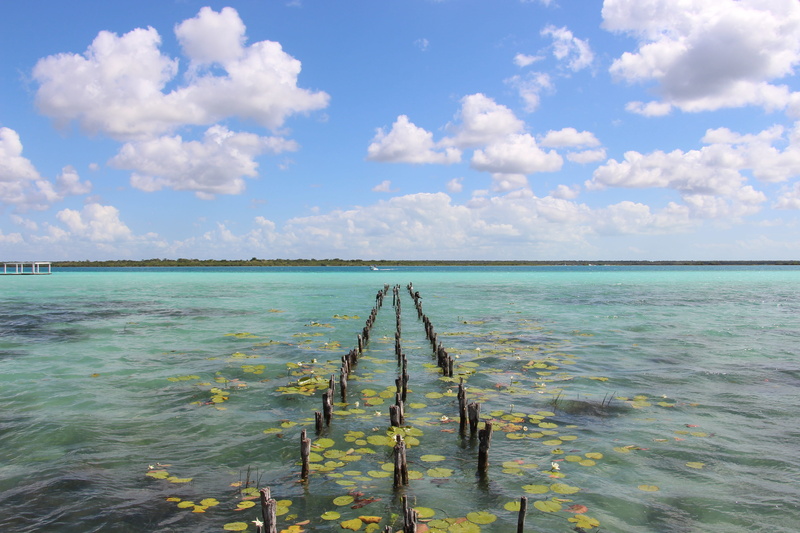 outdoors, travel destinations, cloud - sky, water, tranquil scene, quintana roo, travel, nature, horizon over water, idyllic, mexico, sea, tranquility