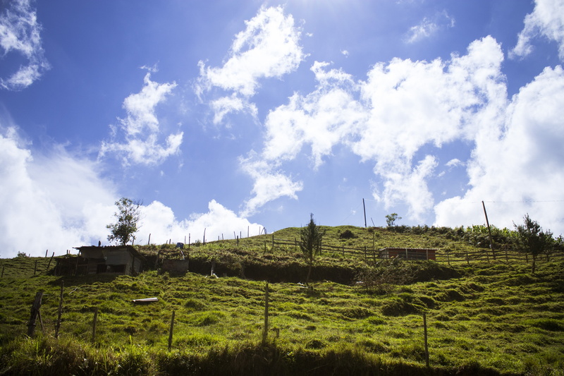 growth, beauty in nature, no people, outdoor, rural scene, sunlight, paisaje, sky, land, nature, colombia, architecture, cielo, field, tree, azul, finca