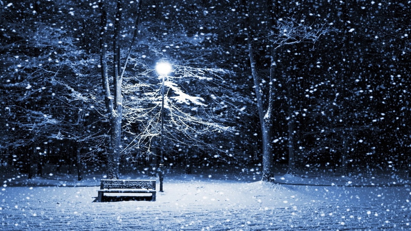 snowing, cold temperature, winter, lantern, illuminated, tranquility, tree, park bench, non-urban scene, outdoors, night, 1080P, beauty in nature, no people