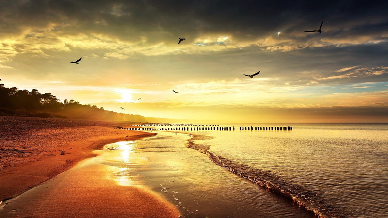 playas, mar, sol, palos, nubes, 2K