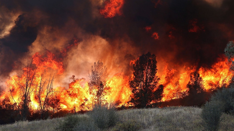 naturaleza, flame, arboles, orange color, sign, smoke - physical structure, fire - natural phenomenon, nature, no people, land, accidents and disasters