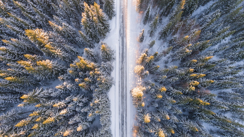 autumn, christmas, woodland, idyllic, plant, yellow, weather, aerial, snow, 4K, photography, mountain, white, season, fir Tree, cold - Temperature, day