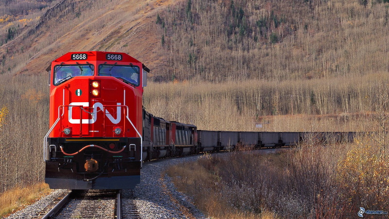 travel, carguero, track, transportation, locomotive, passenger train, day, public transportation, plant, nature, naturaleza, land vehicle, no people, freight transportation