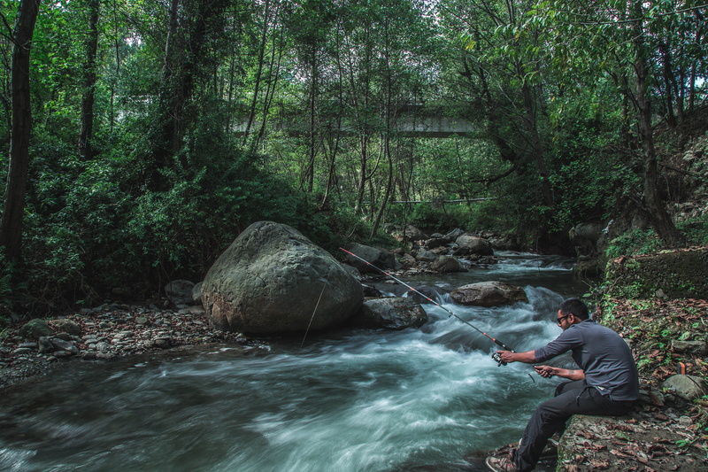 near, bridge, waterfall, flowing, flowing water, bosque, stream - flowing water, one person, pescando, tree, leisure activity, plant, solid, outdoors, beauty in nature