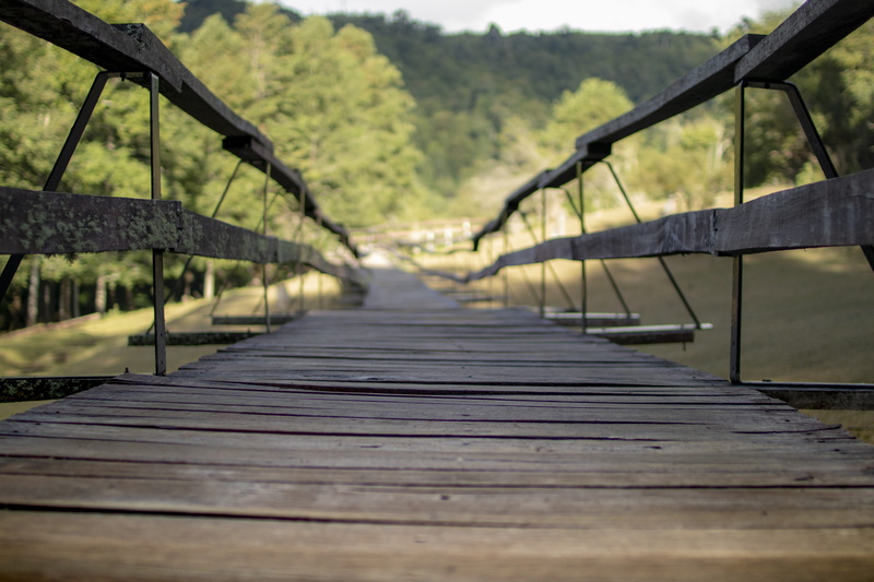 dock, footbridge, focus on foreground, sunlight, railing, waterfront, wood paneling, connection, wood - material, the way forward, walkway, port, nature