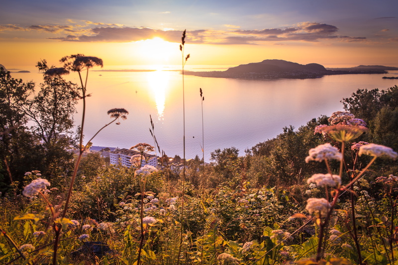 noruega, sunset, landscape, summer, atlantico, Ålesund  norway, outdoors, hour, body, golden, photographoy, oceano, golden hour, water, ocean, scenics
