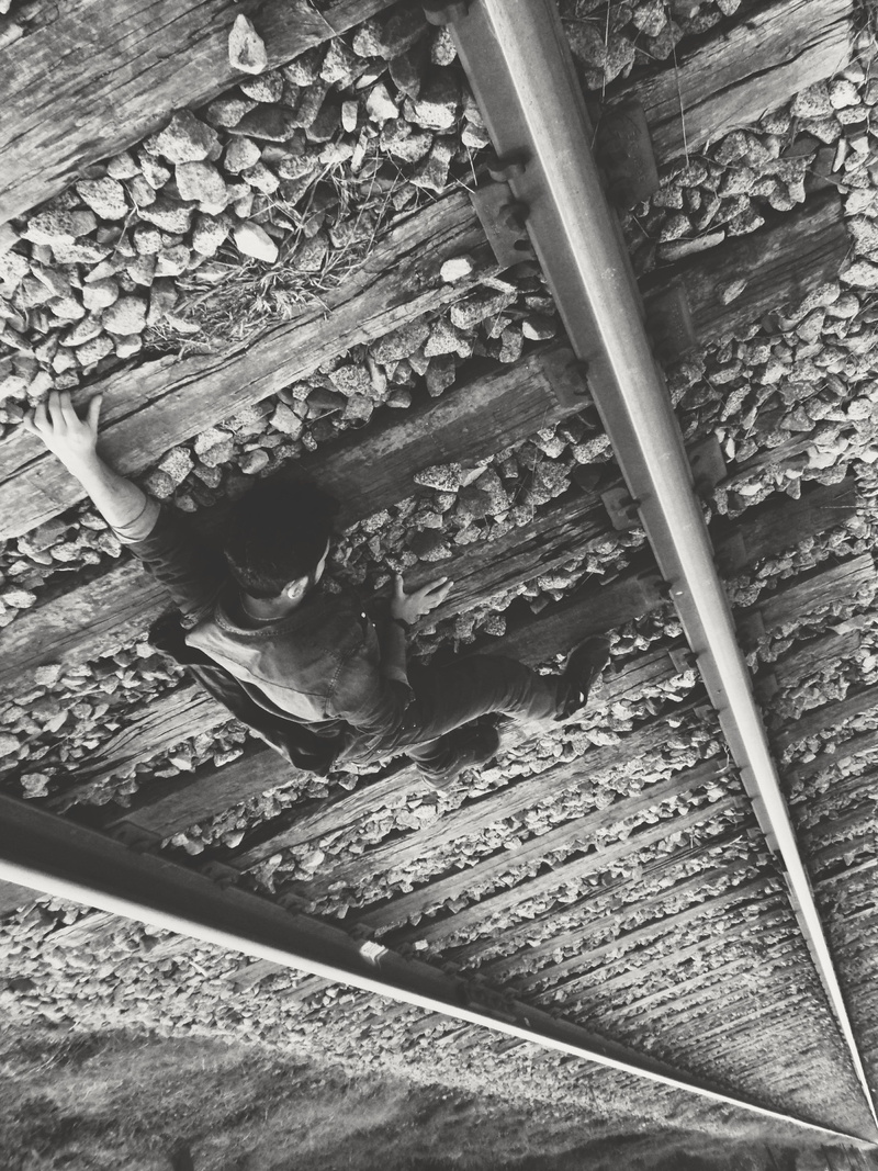 animals in the wild, vias, railroad track, relaxation, 4K, 50mm, foto, no people, instagram, hombre, high angle view, fotografia, vertebrate, tumblr, nikontop