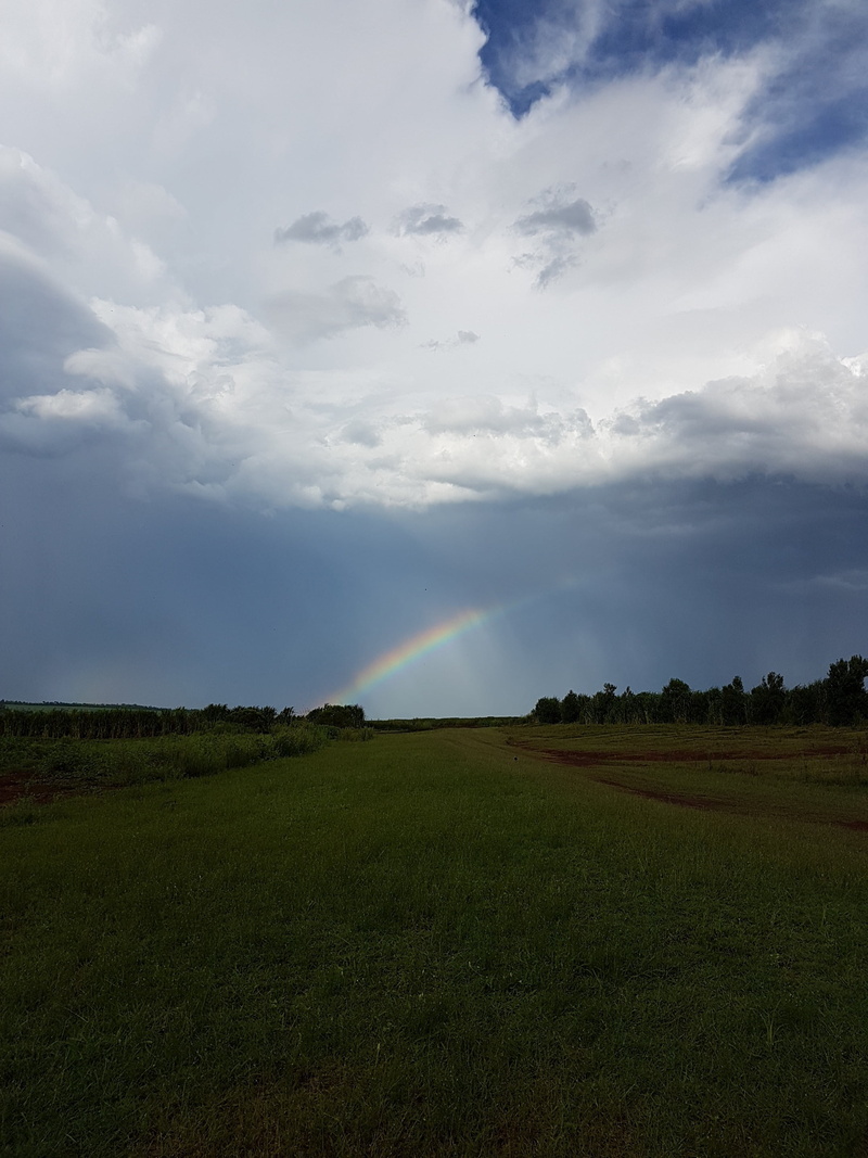 tranquility, landscape, field, grass, beauty in nature, arco-iris, blue, nature, non-urban scene, rainbow, land, rain, scenics - nature, no people, idyllic