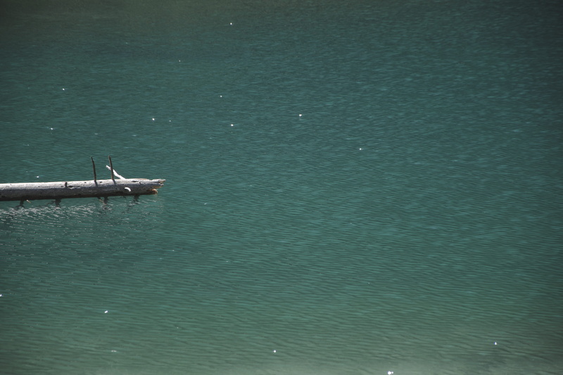 sea, tranquil scene, tree, lake, deep, wood, italy, animal wildlife, outdoors, water, forest, turquoise colored, beauty in nature, transportation, nature