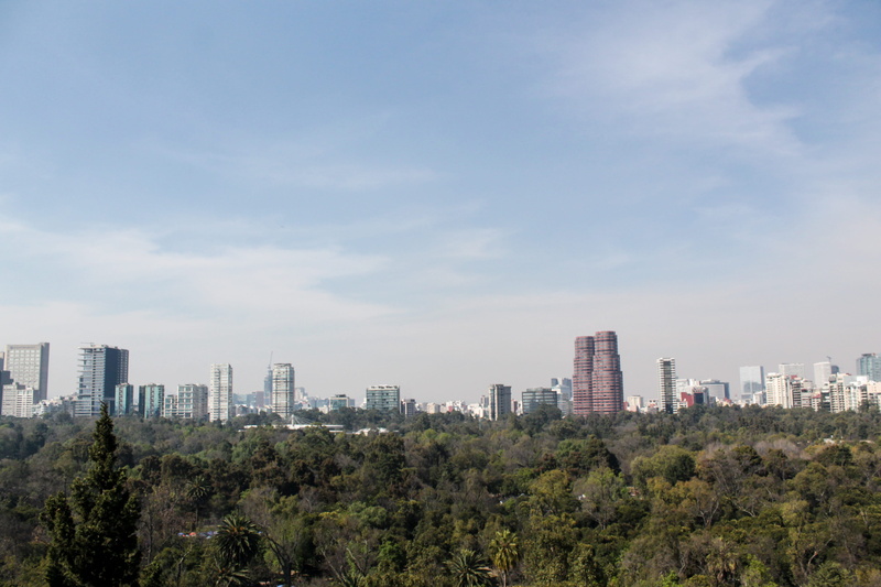 mexico, plant, urban skyline, residential district, skyline, day, architecture, modern, sky, no people, mexico city, tall - high, city, cloud - sky, trees