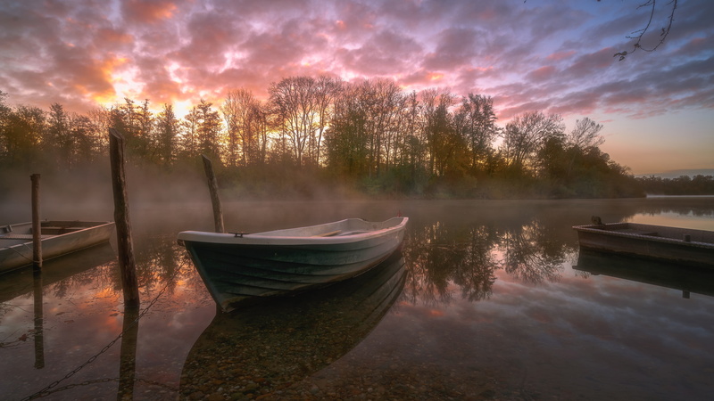 dawn, boat, reflection, rowing boat, bank, sky, mist, river, tree, misty, water, 4K