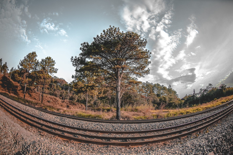 travel, cloud - sky, serjosoza, beauty in nature, saopaulo, 2K, scenics - nature, nature, transportation, 15mm, marsilac, railroad track, tree, fisheye