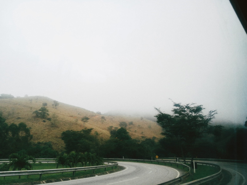 day, 2K, direction, brazil, florest, sign, road, the way forward, environment, transportation, fog, car, nature, crash barrier, arvores, outdoors, tranquility