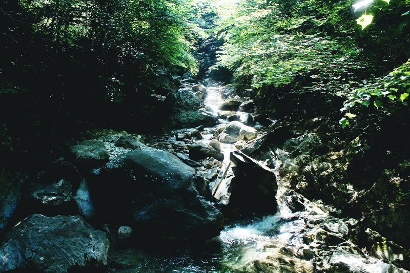 stones, rainforest, como, waterfall, day, tree, water, lago, wild life, montanha, floresta, power in nature, no people, nature, scenics - nature, wild
