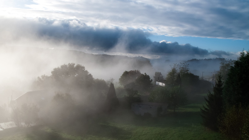 non-urban scene, landscape, day, galicia, cloudscape, tree, tranquil scene, tranquility, growth, forest, scenics - nature, environment, plant, hazy, fog