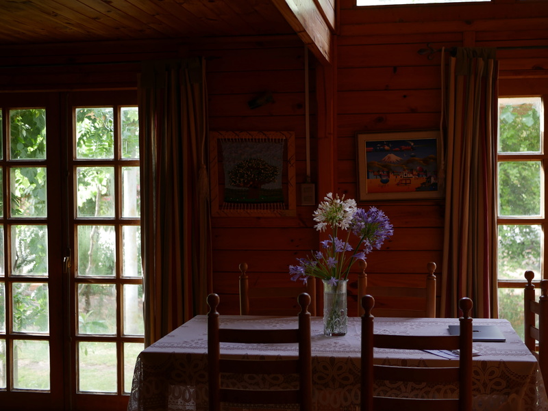 flowers, window, house, home decor, cottage, building, glass, beauty in nature, room, furniture, parcela, no people, blossom, home, indoors, plant, hardwood