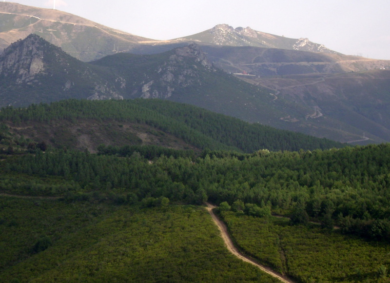 scenics - nature, nature, environment, mountain, plantation, idyllic, panorama, tree, beauty in nature, growth, agriculture, landscape, portugal, non-urban scene