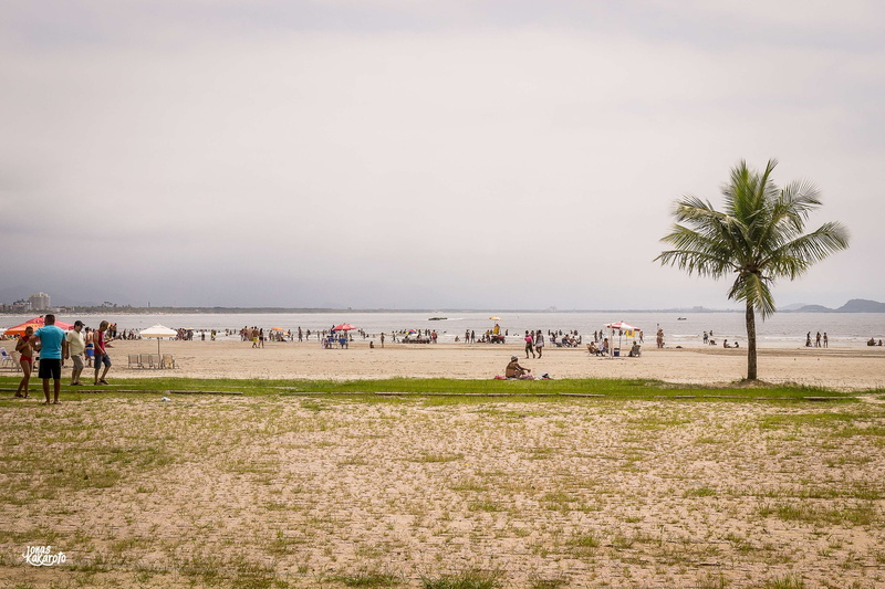 brazil, tree, outdoors, tropical climate, large group of people, nature, sea, leisure activity, vero, sao paulo, adult, group of people, sun, quente, calor