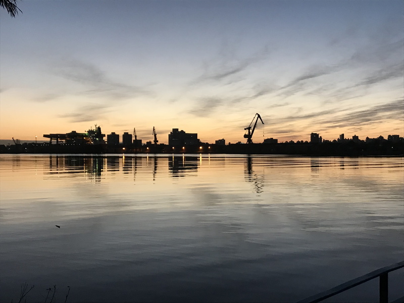 no people, scenics - nature, tranquility, morning, tree, sol, costa, guaíba, impressive, porto alegre, island, reflection, water, beauty in nature, waterfront