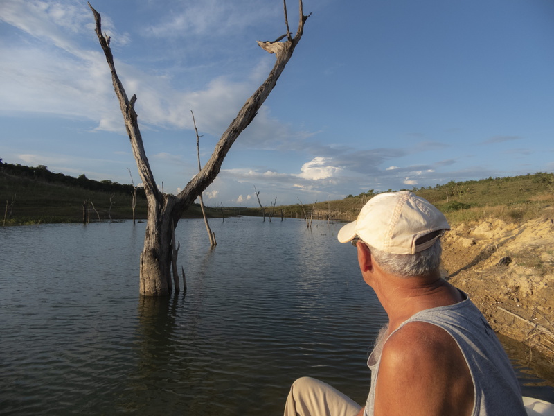 vegetation, real people, water, plant, adult, day, looking at view, scenics - nature, lake, brasil, sky, men, lifestyles, nature, tranquility, one person