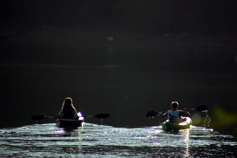 poultry, youth, nautical, swimming, 2K, river, Canoe, vacation, vessel, Boat, duck, reflection, outdoors, group of animals, tourism, scenic, Water, exercise