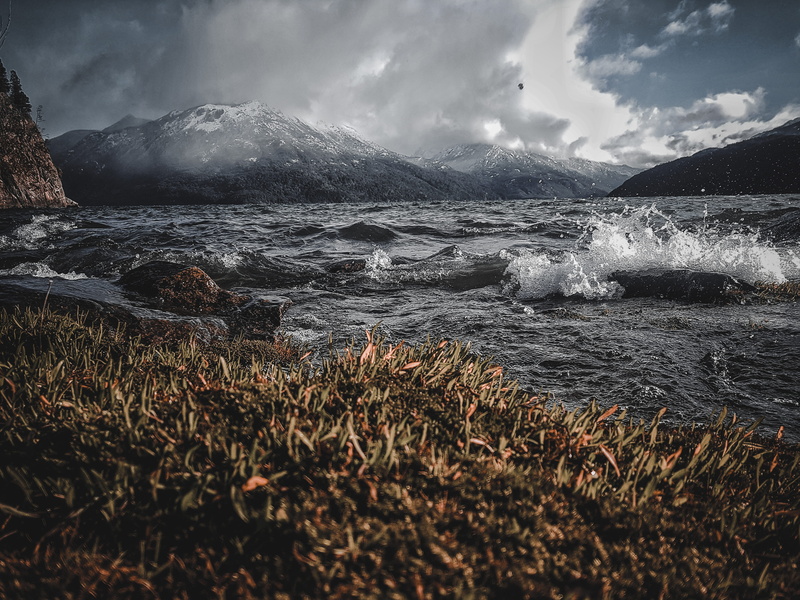 pic, landscape, cloud - sky, lago puelo national park, water, beach, environment, land, forest, no people, scenics - nature, argentina, lago puelo, grass