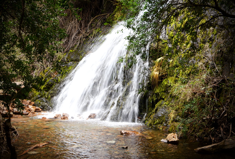 forest, blurred motion, lago puelo, non-urban scene, rock, plant, land, water, beauty in nature, motion, power in nature, 5K, outdoors, scenics - nature