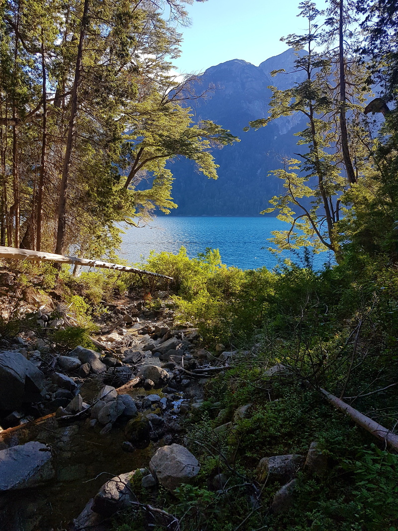 growth, nature, rock - object, lake, lago espejo, scenics - nature, non-urban scene, 4K, tranquil scene, day, trees, sky, outdoors, beauty in nature, water