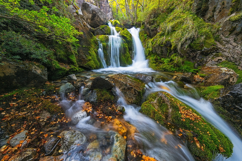 forest, waterfall, 1080P, Argentina, Santa Cruz, Lago Argentino, cascade, Santa Cruz Province, Patagonia