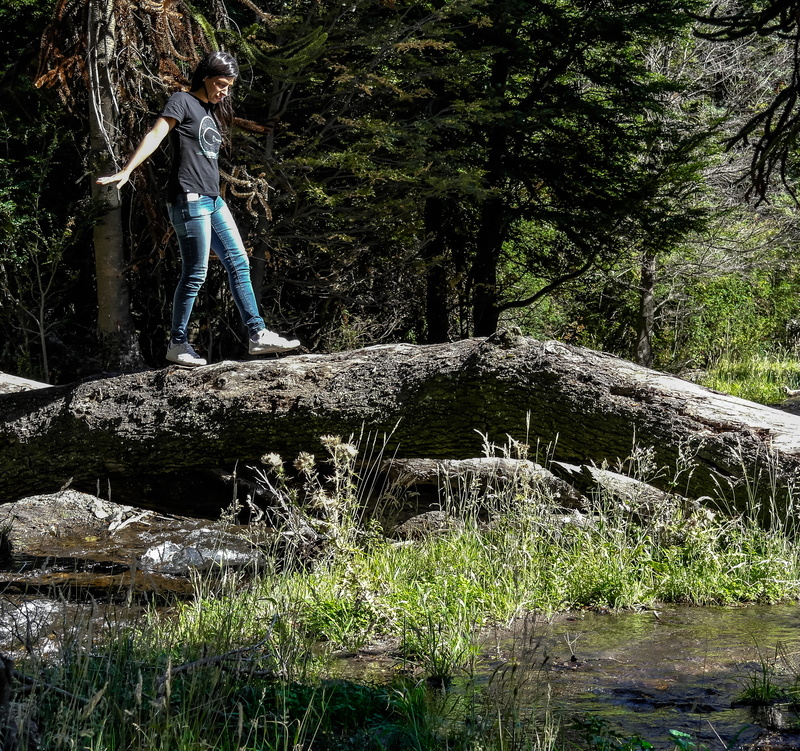 lago paimún, tree trunk, outdoors, green color, beauty in nature, real people, forest, growth, full length, woodland, leisure activity, women, argentina